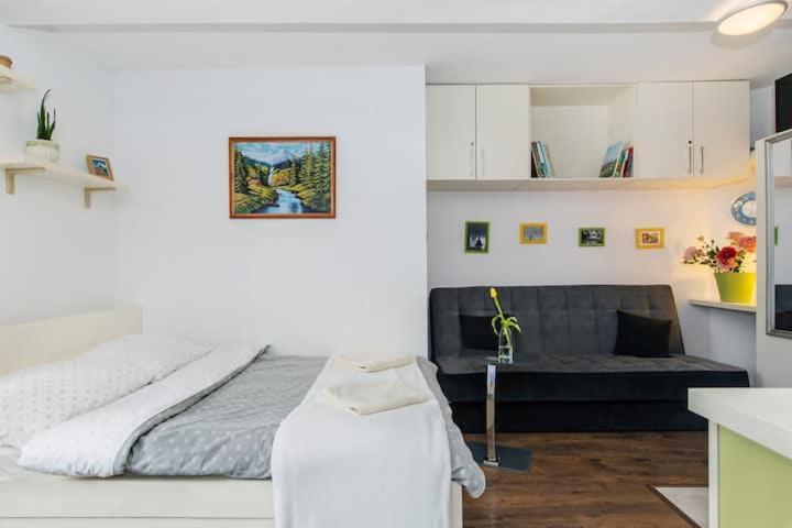 Cosy Studio Apartment クラクフ エクステリア 写真