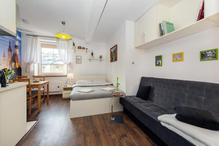Cosy Studio Apartment クラクフ エクステリア 写真