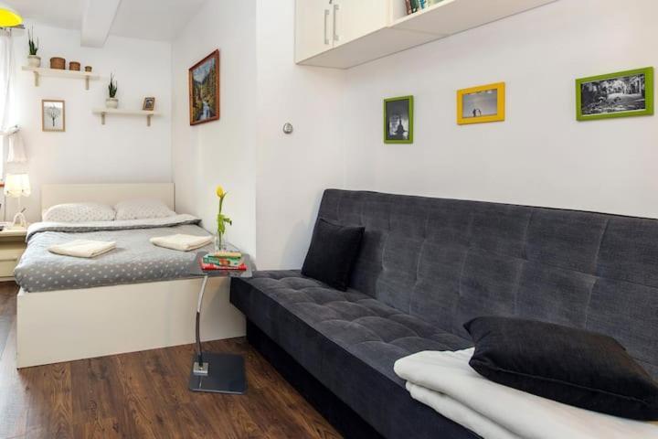 Cosy Studio Apartment クラクフ エクステリア 写真